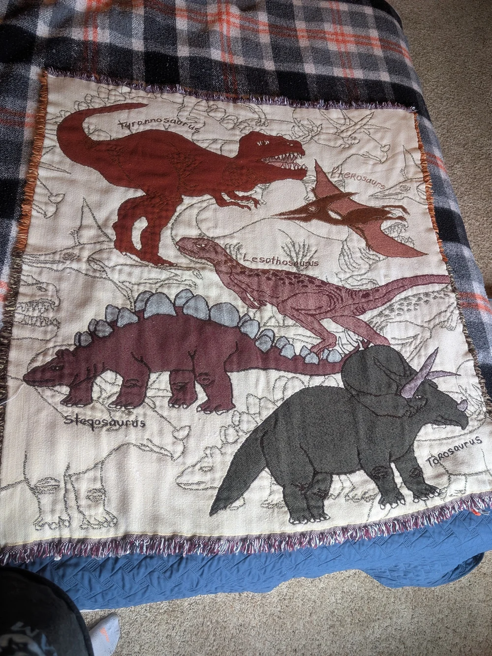Dinosaur Woven Fringed Throw Blanket Kids 46x42 Brown Tyrannosaurus Stegosaurus